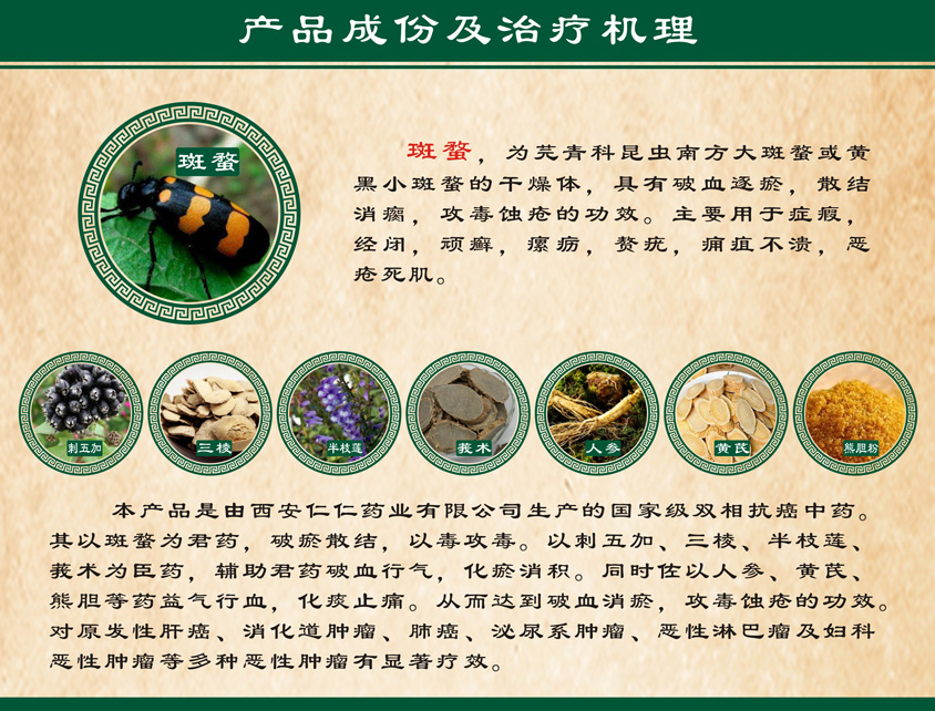 復(fù)方斑蝥膠囊頁(yè)面--1_02.jpg